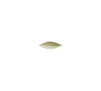 Assiette Laurier Feuille 17,8 x 5,7 cm Riviera x 6 Costa Nova