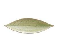 Assiette Laurier Feuille 17,8 x 5,7 cm Riviera x 6 Costa Nova G