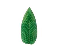 Costa Nova, Riviera collection, Vaisselle en grès, Feuille de Strelitzia, tomate (vert), 40 cm