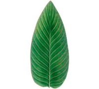 Costa Nova, Riviera collection, Vaisselle en grès, Feuille de Strelitzia, tomate (vert), 40 cm