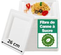 Assiettes Fibre Végétale | Canne à Sucre | Grande Assiette 26 cm | Biodégrable et Compostable | Plat Chaud et Froid | Excellente Rigidité | Vaisselle Eco Responsable (200)