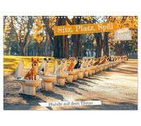 Assise, place, évier - Chiens sur le trône (calendrier mural 2026 DIN A3 paysage) - Calendrier mensuel CALVENDO