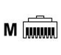 Digitus AK-219602 Fiche modulaire RJ45 CAT 6, non blindée AK-219602 mâle, droit Nombre de pôles 8P8C