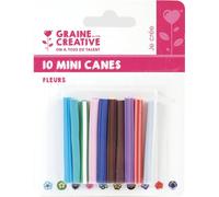 Assortiment 10 Mini Canes Fleurs 50x5mm -