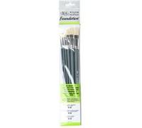 Winsor & Newton Foundation Pinceaux Huile Soie Naturelle Manche Long X6