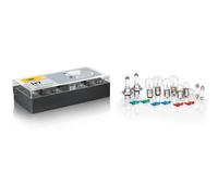 Assortiment Ampoules 24 V W5W Halogène HELLA Convient pour Couronne