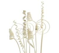 Assortiment Cane mini blanchi 75 pcs - Spirales décoratives en bois pour l'art floral et l'artisanat