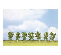 Assortiment d'arbres bouleau NOCH 25096 100 à 100 mm vert 7 pc(s)