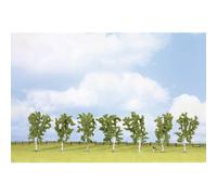 Assortiment d'arbres bouleau NOCH 25096 100 à 100 mm vert 7 pc(s)