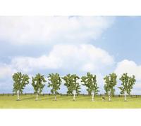 Assortiment darbres bouleau NOCH 25096 100 à 100 mm vert 7 pc(s)
