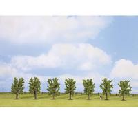 Assortiment darbres forêt de feuillus NOCH 25088 80 à 80 mm vert 7 pc(s)