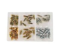Assortiment de 60 vis de purges de frein