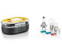 Assortiment De Ampoules HELLA Halogène P21W R5W T4W H7 12V (8GH 007 157-941)