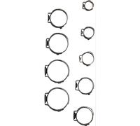 Assortiment de colliers de serrage en acier inoxydable | Ø 5,8 - 21 mm | 170 pcs.