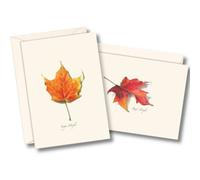 Assortiment de feuilles d'érable II
