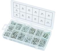 Assortiment de vis auto-taraudeuses à tête ronde, 550 pcs (prix indicatif - ref vendue uniquement en présentoir)