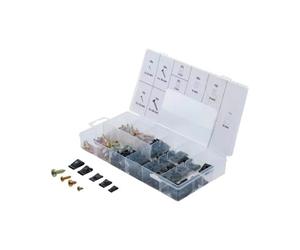 Assortiment d'écrous et de vis pour tôle de carrosserie 170 pièces