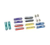 Assortiment varié de 9 fusibles stéatite + 1 en verre