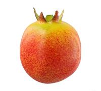 Assortiment varié de faux fruits en plastique pour la cuisine - Fruits artificiels réalistes pour la décoration de la maison (grenade)