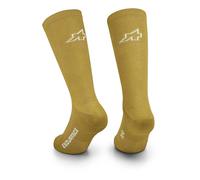Assos Chaussettes Endurance S11