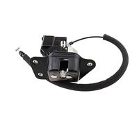 Assy Actionneur Serrure Porte Compatible Avec Chrysler Pour Town Pour Country 2009 2010 2011 2012 2013 2014 2015 2016 Actionneur Loquet Coffre Arrière Voiture Hayon Hayon OE : 04589243AF 04589243AG