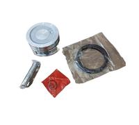 ASTCXkd [Remplacer] Kit Piston GXV120 60 mm Compatible avec Tondeuse 118 cm³ 4 Temps 4 CV OHV Arbre Vertical HR194 214 215, Ensemble de Segments de Cylindre, Clips de goupille