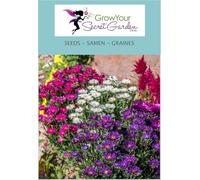 Aster alpinus - Aster des Alpes (MIX)- vivace - résistante au froid