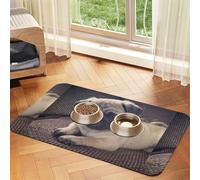 Aster Blanc Marguerite Jaune,Tapis d'alimentation imperméable pour Animaux de Compagnie, Sets de Table pour Chats et Chiens pour la Nourriture et l'eau, Tapis de Nourriture en Cuir PU,40x60cm