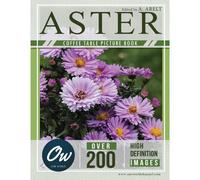 Aster: Coffee Table Picture Book