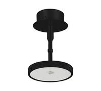 Asteria Spot Noir