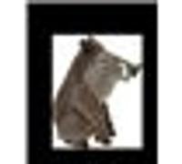 Asterix - Figurine mini sanglier 5 cm