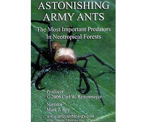 Astonishing Army Ants: The Most Important Predators in Neotropical Forests