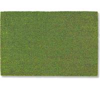 Astra Paillasson Intérieur et extérieur COCO COLOR T Vert 40 x 60 cm