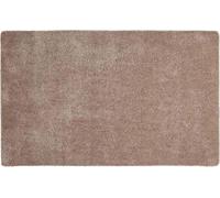 Astra Paillasson intérieur MOON Taupe 60 x 100 cm