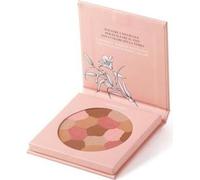Astra Pure Beauty Mosaic Poudre visage 01 Mother Earth