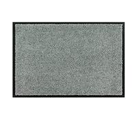 Astra Tapis de propreté de Haute qualité - paillasson intérieur - Lavable à 30° C - Tapis antidérapant - Rangement Chaussures Couloir - Cuisine - Menthe 60x90 cm