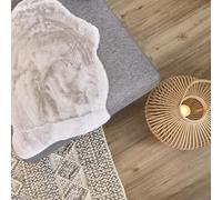 Astra Tapis en Fausse Fourrure Moelleux de Haute qualité - Tapis Salon - Tapis à Poils Hauts Agneau Peau de Mouton Accessoire - Peau déco Argent Shape 40 x 60 cm