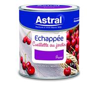 ASTRAL 5214395 Echappée cueillette au jardin 0,5 L Panier