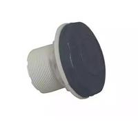 ASTRAL Prise Balai Grise Anthracite pour Piscine béton