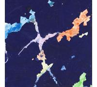 Astral Social Club / Glockenspiel - Split