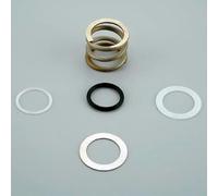 Astralpool RESSORT VALVUE marque