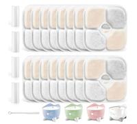 ASTRIgneous Lot de 16 filtres pour fontaine à eau Catit Pixi, avec 4 tuyaux et 1 brosse de nettoyage, filtre de rechange, triple système de filtration avec résine et charbon actif