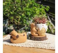 Astrivae Pots à Plantes Capybaras Mignons (Lot de 2) - Décoration Miniature Écologique avec Trou de Drainage - Cadeau Parfait pour Amoureux de la Nature (10.5x7cm)