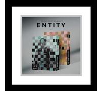 ASTRO Cha Eunwoo ENTITY 1st Mini Album CD+Folding Poster on pack+Photobook+Photocard+Sticker+DIY entity+Accordion lyric paper+Tracking Sealed EUN WOO (Random Version)
