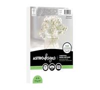 Astrodesigns Lot de 100 feuilles de papier cartonné, 11,4 x 16,5 cm, 29,5 kg, parfait pour les projets de bricolage, la fabrication de cartes, le scrapbooking et les invitations (91997)