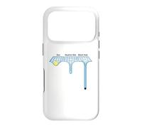 Astrophysique Soleil étoile à Neutrons et Trou Noir Coque pour iPhone 17 Pro