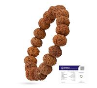 Astrotalk Bracelet Rudraksha 7 Mukhi | Puissant bouclier de positivité et de croissance | Perles Rudraksha naturelles originales | Bracelet astrologie unisexe pour homme et femme