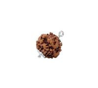 Astrotalk Népal Origin Nirakar Rudraksha (0 Mukhi) | Perle rare Mukhi zéro | Représente le Seigneur Shiva sans forme | Perle Rudraksha sacrée pour homme et femme, One Size, Rudraksha, Pas de pierre