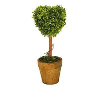 Asuinxurr Pot d'herbe de jardin en plastique - Pour plante d'intérieur - Séché pour fête de mariage - 21 cm