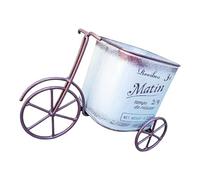 Asukohu Bicyclettes uniques en métal avec jolis pots de fleurs artistiques sur le thème du cyclisme pour pelouses et jardins portables